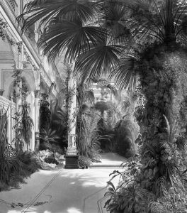 Das Palmenhaus Auf Der Pfaueninsel