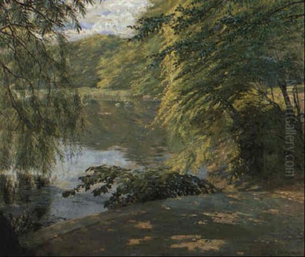 Weiher Mit Schwanen - view 1