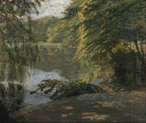 Weiher Mit Schwanen
