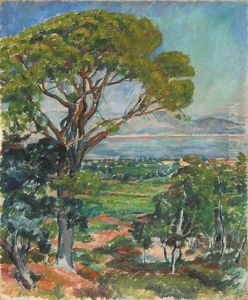 Pinia Pinia