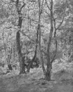 Herbstwald Herbstwald
