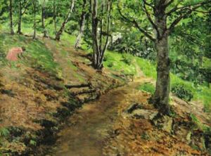 Waldweg Waldweg