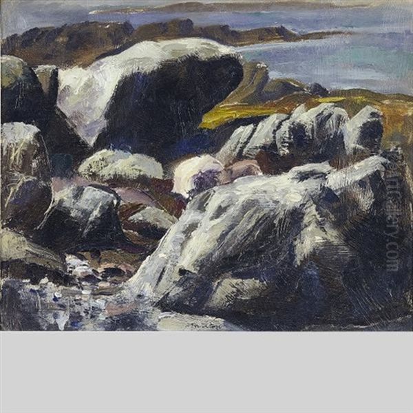 Rocky Formation, Peggy's Cove, N.s. - view 1
