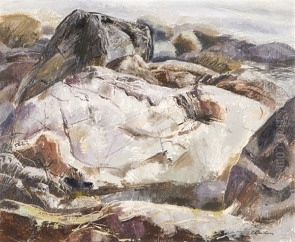Rocky Landscape - view 1