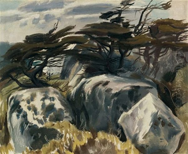 Trees And Rocks, Nova Scotia - view 1