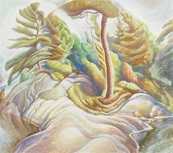 Landscape - view 1