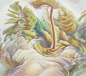 Landscape Landscape