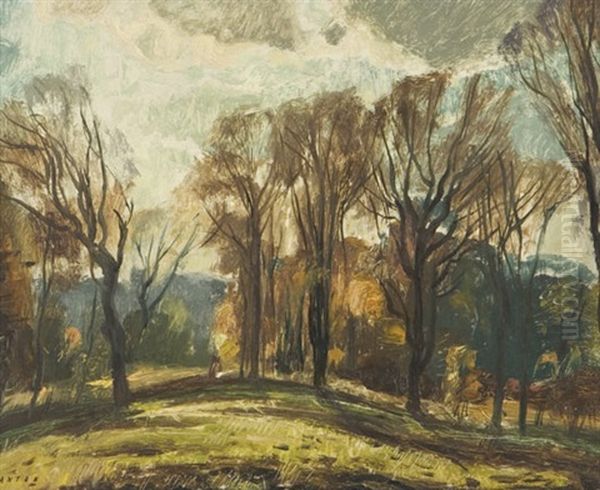 Landscape - view 1
