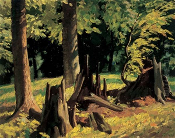 Forest Clearing - view 1