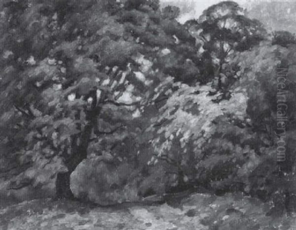 Wood Interior No.1 - view 1