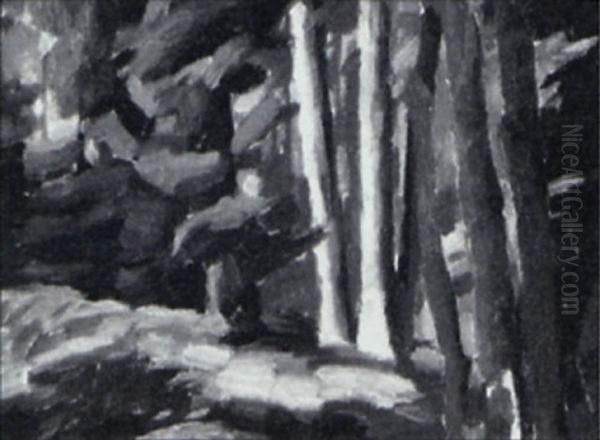 Sunlight In The Forest - view 1
