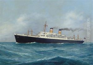 The "s.s. Independence" At Sea by Luca Papaluca