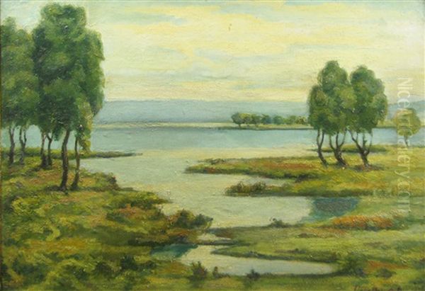Trees At The Border Of The Water - view 1