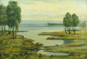 Trees At The Border Of The Water