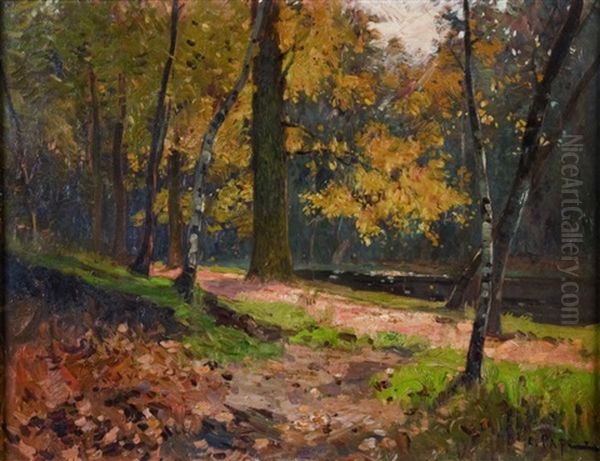 Sous-bois - view 1