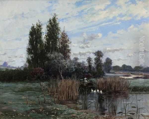 Paysage - view 1