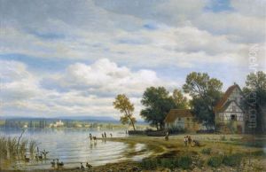 Uferlandschaft Am Untersee
