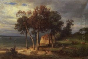 Partie An Der Ostseekuste Mit Weidenden Kuhen