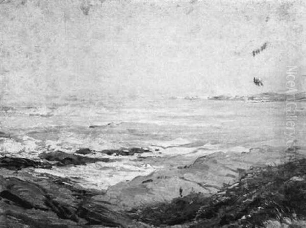 Gray Day On The Coast - view 1