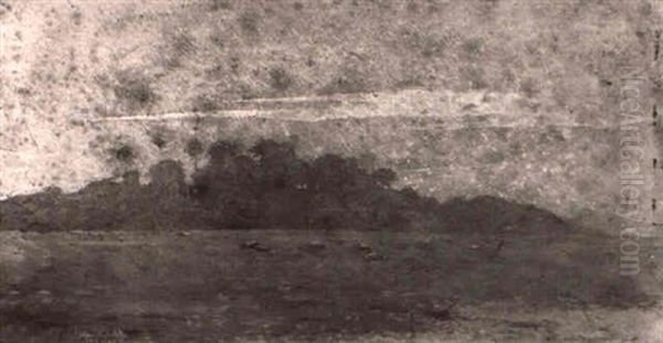 Grazing Sheep, Egypt - view 1