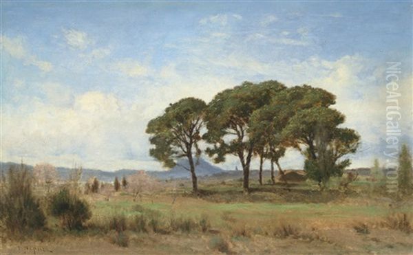 Paysage - view 1