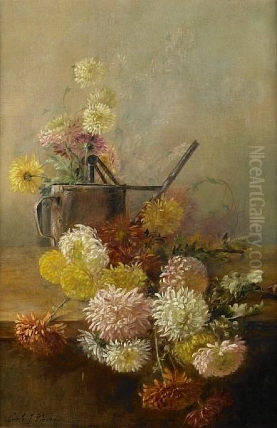 Chrysanthemums - view 1