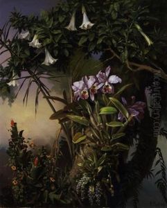 Fleurs Exotiques