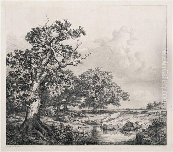 Le Vieux Chene Aux Mares De Bellecroix (foret De Fontainebleau) - view 1