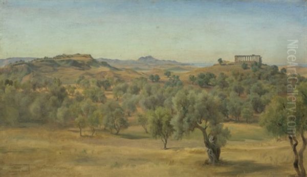 Olivenhain Bei Agrigent Mit Dem Juno-tempel - view 1