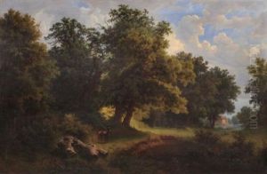 Spatsommerliche Parklandschaft Im Englischen Stil Mit Wasserschlos