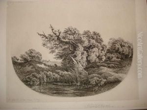 Le Chene Et Le Roseau