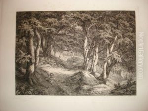 La Clairiere (le Dessinateur)