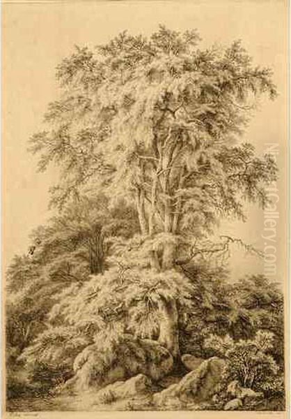 La Foret. - view 1