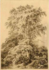 La Foret. La Foret.