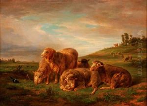 Sheep At Rest In The Pasture by Joseph Francois Paris
