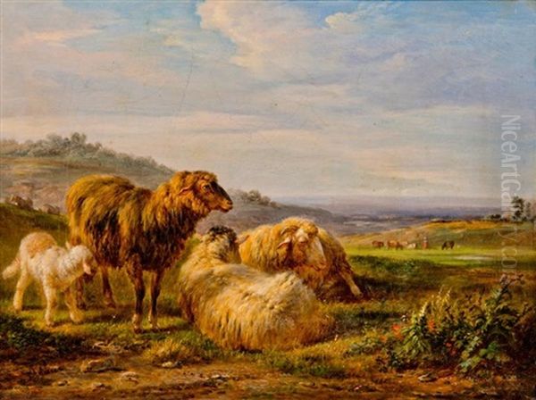 Des Moutons Aux Paturages - view 1