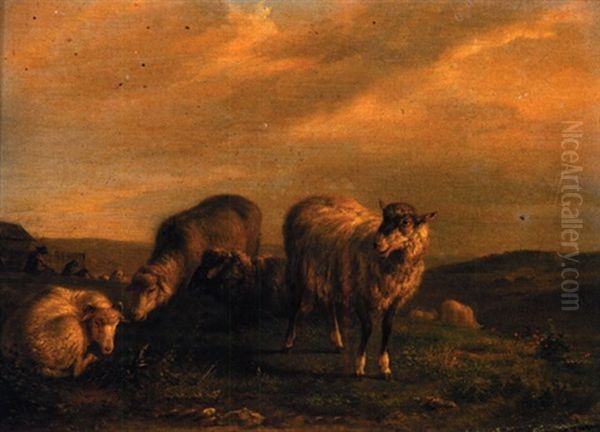 Moutons Aux Paturages - view 1
