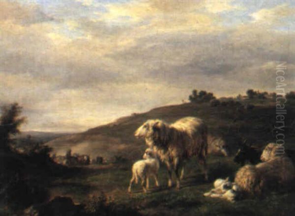 Vieh Auf Der Weide - view 1