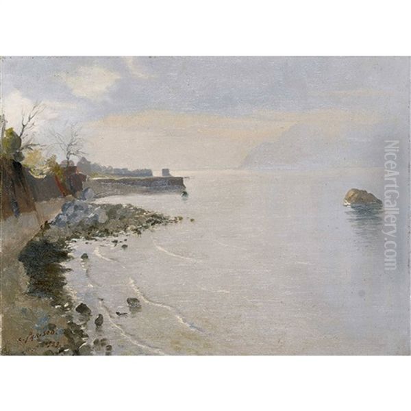 See-stimmung Am Genfersee Bei Lutry - view 1