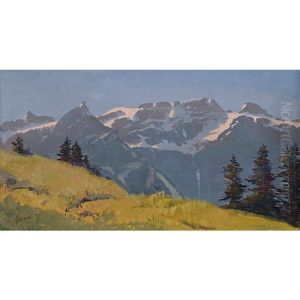 Berglandschaft Im Sommer