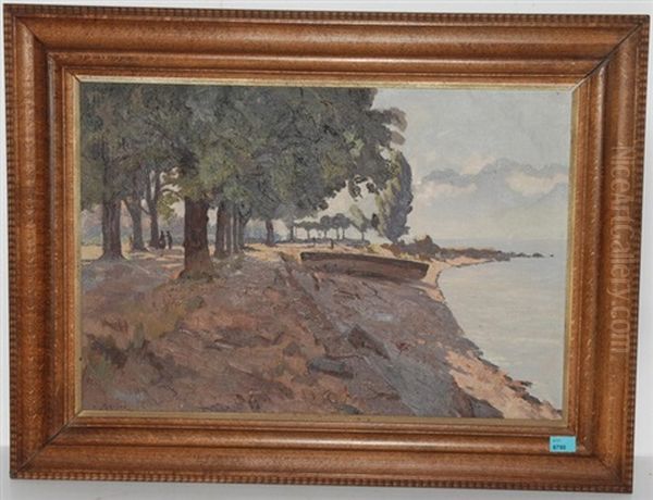 Sommerliche Landschaft Am Genfersee - view 1