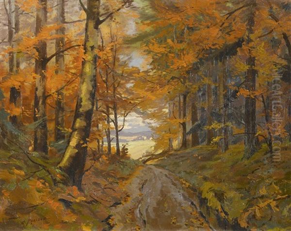 Herbstlicher Waldweg - view 1