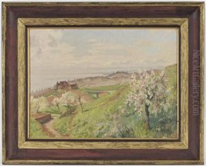 Paysage Du Lavaux Et Le Leman