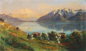 Ansicht Der Cote Vaudoise