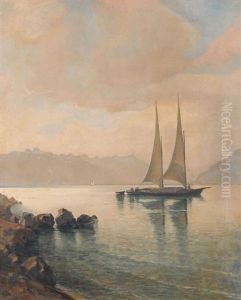 Lac Leman Avec Barque A Sable