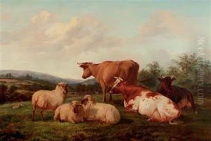 A Hilltop Pasture