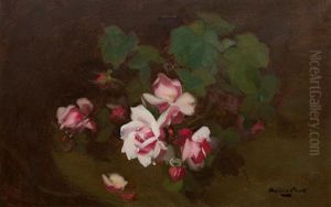 Pink Roses by Stuart James Park
