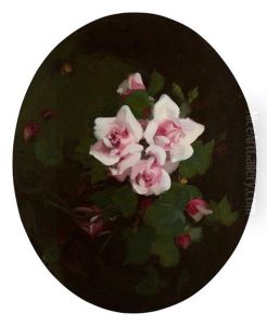 Pink Roses by Stuart James Park