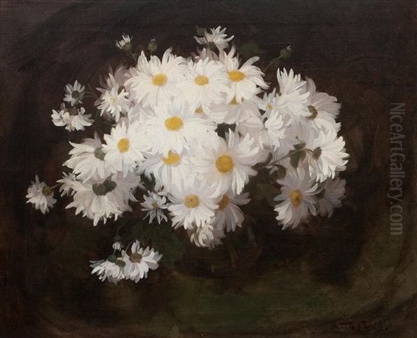 Marguerites - view 1