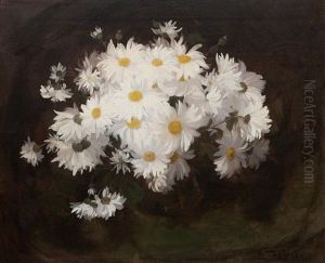 Marguerites by Stuart James Park